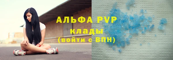 эйфоретик Беломорск