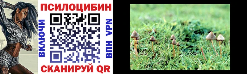 Галлюциногенные грибы мицелий  hydra ссылки  Городовиковск  купить  цена 